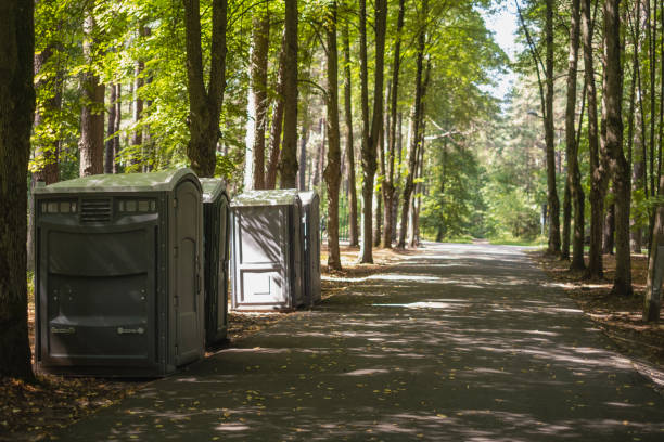 Portable Toilet Options We Offer in Mogul, NV